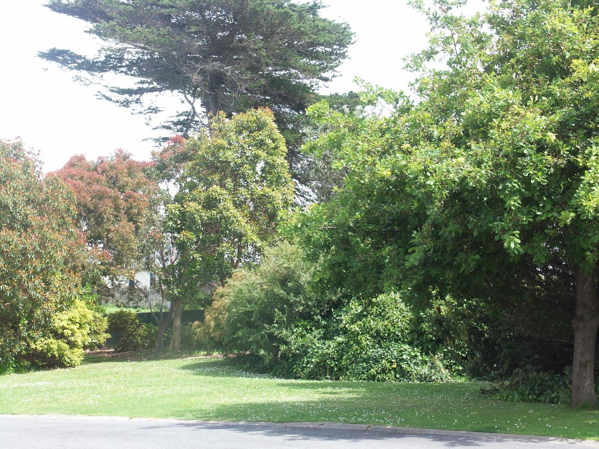 Melaleuca Motel Portland Εξωτερικό φωτογραφία